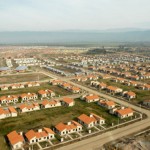 lomas-1
